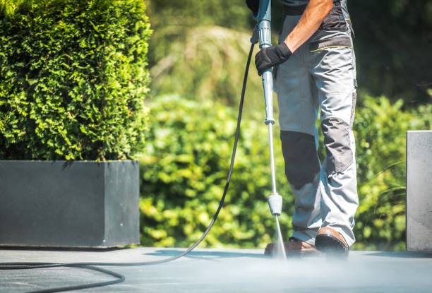 Best Roof Washing  in Abbeville, LA