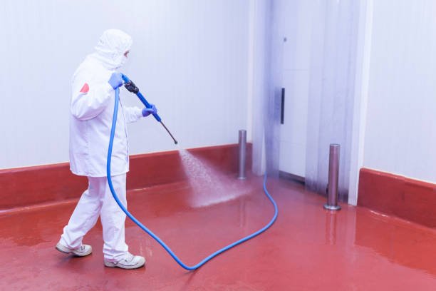 Best Sidewalk and Walkway Cleaning  in Abbeville, LA