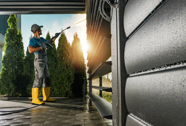 Best Solar Panel Cleaning  in Abbeville, LA