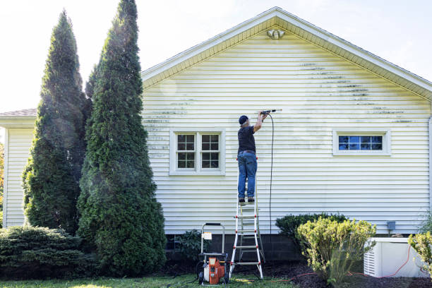 Best Solar Panel Cleaning  in Abbeville, LA